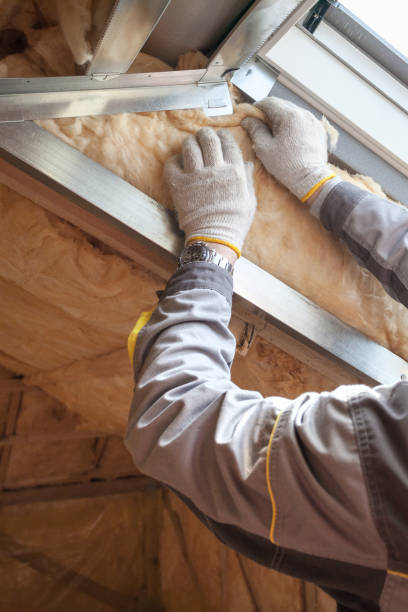 Best Cellulose Insulation in New Rockford, ND