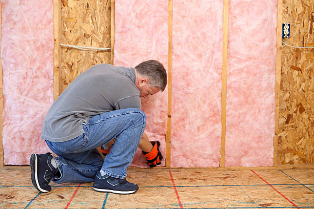 Best Insulation Maintenance and Repair in New Rockford, ND